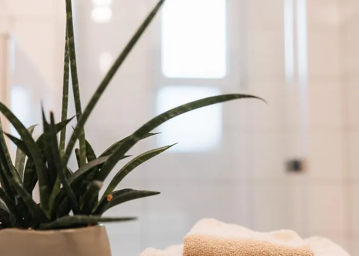 Gemuetliches Nest In Rinkerode Drensteinfurt